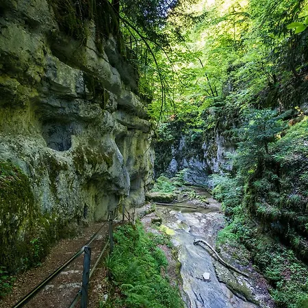 Free Parking Μπίελ/Μπιένε