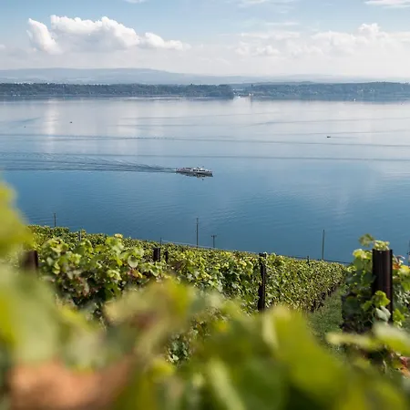 Ξενοδοχείο Free Parking